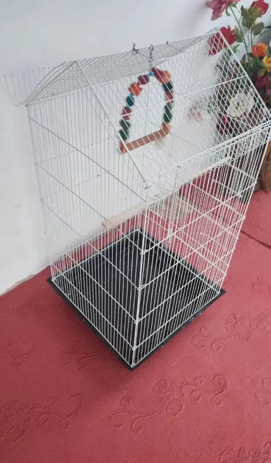 قفس|لوازم جانبی حیوانات|صومعهسرا, |دیوار