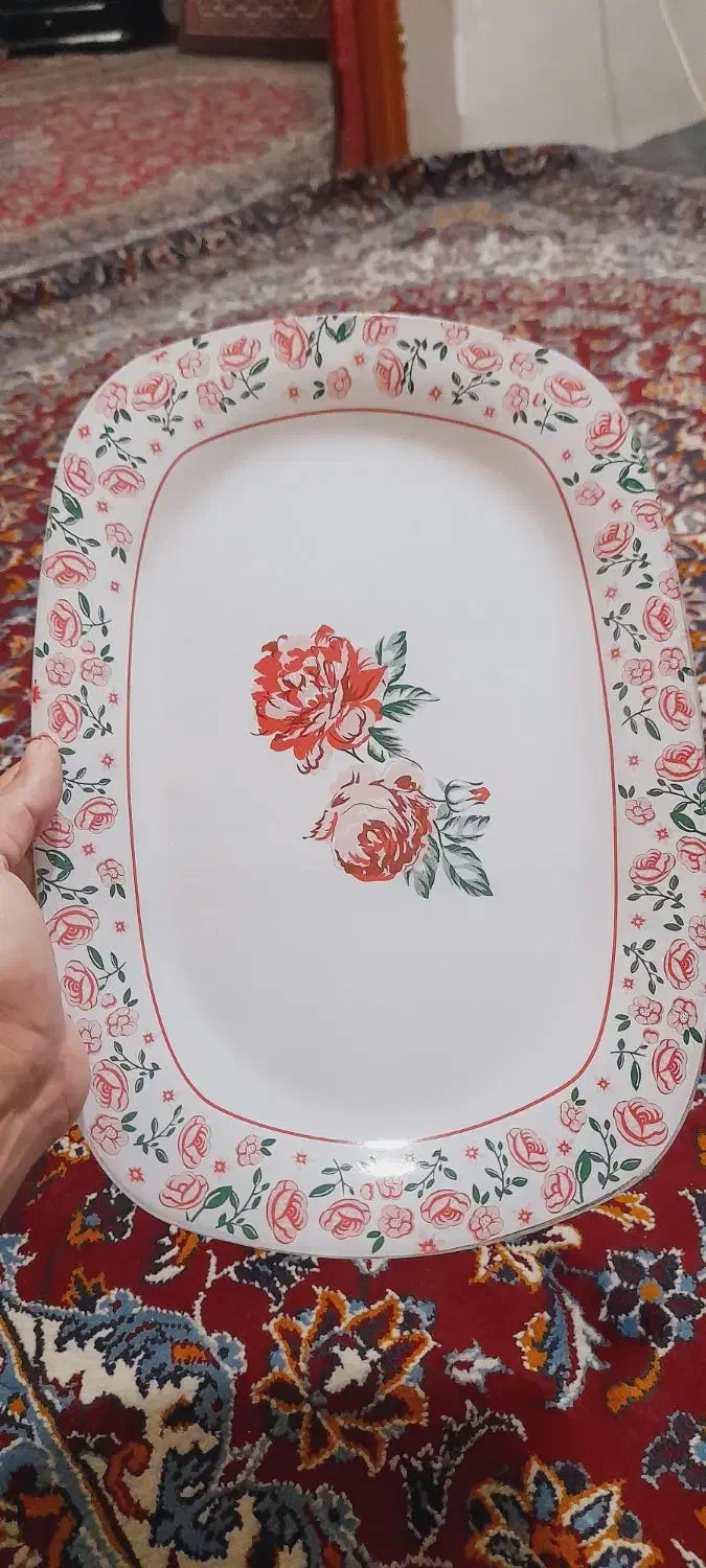 سرویس اوپال نو|ظروف سرو و پذیرایی|شاهرود, |دیوار