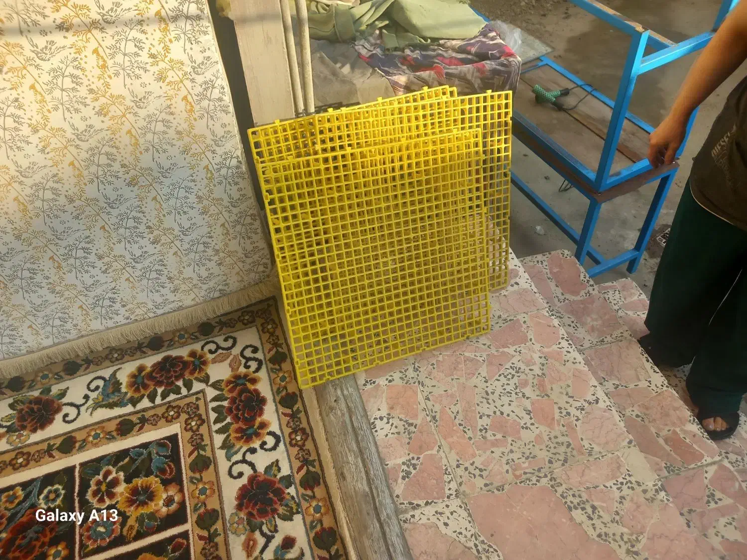 سبد|لوازم جانبی حیوانات|فومن, |دیوار