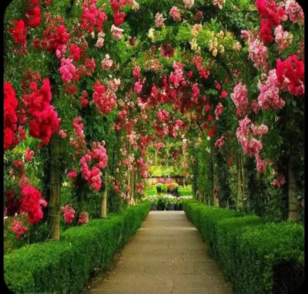 طبعیت گردی|فعالیت داوطلبانه|مشهد, چهارچشمه|دیوار