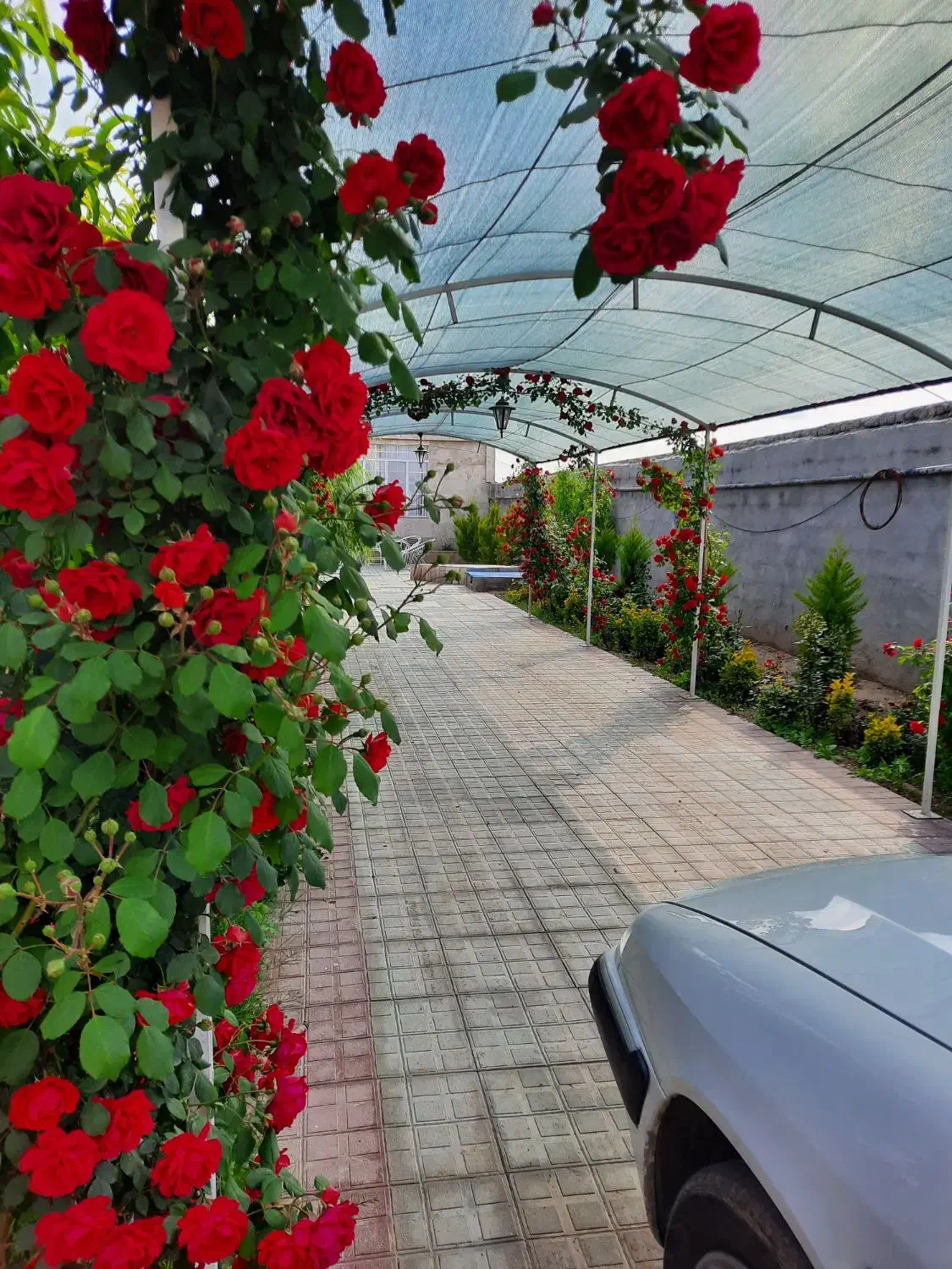 باغ ویلا مسکونی|فروش خانه و ویلا|مشهد, ابرغن|دیوار