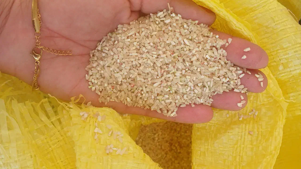 انواع برنج شیروان|خوردنی و آشامیدنی|بدره, |دیوار