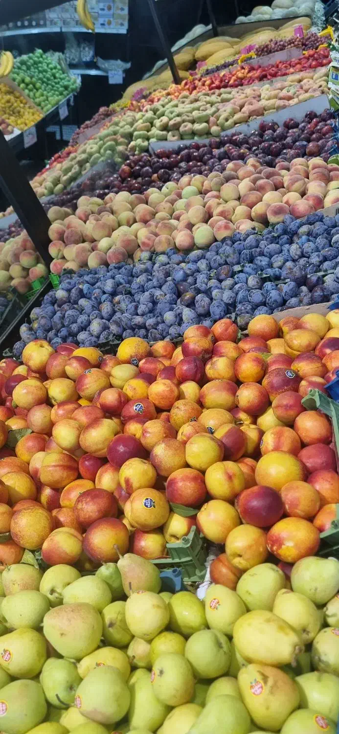 صندوقدار خانم برای هایپر میوه|استخدام مالی، حسابداری، حقوقی|بابل, |دیوار