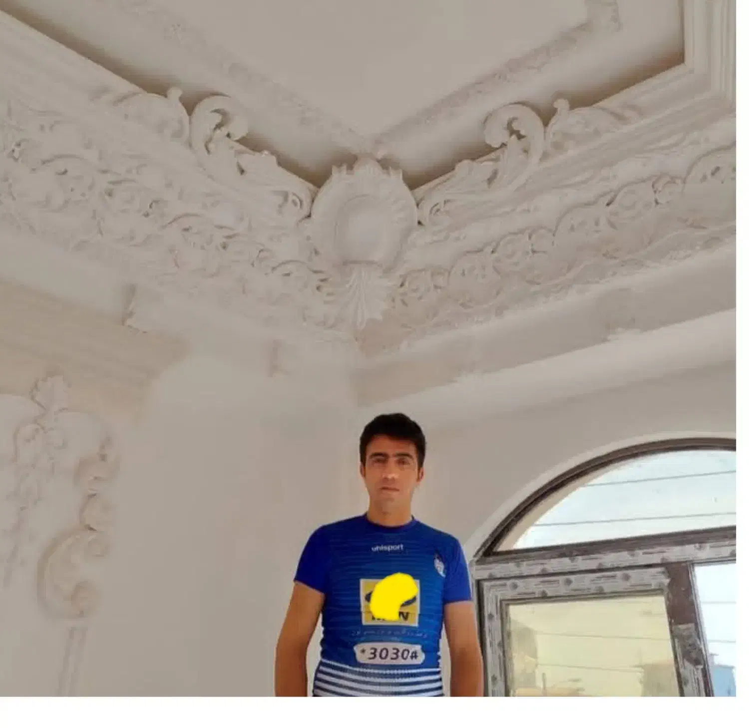 تولیدواجرای گچبری وگچکاری پیش ساخته ودستی پتینه|خدمات پیشه و مهارت|تهران, بهار|دیوار