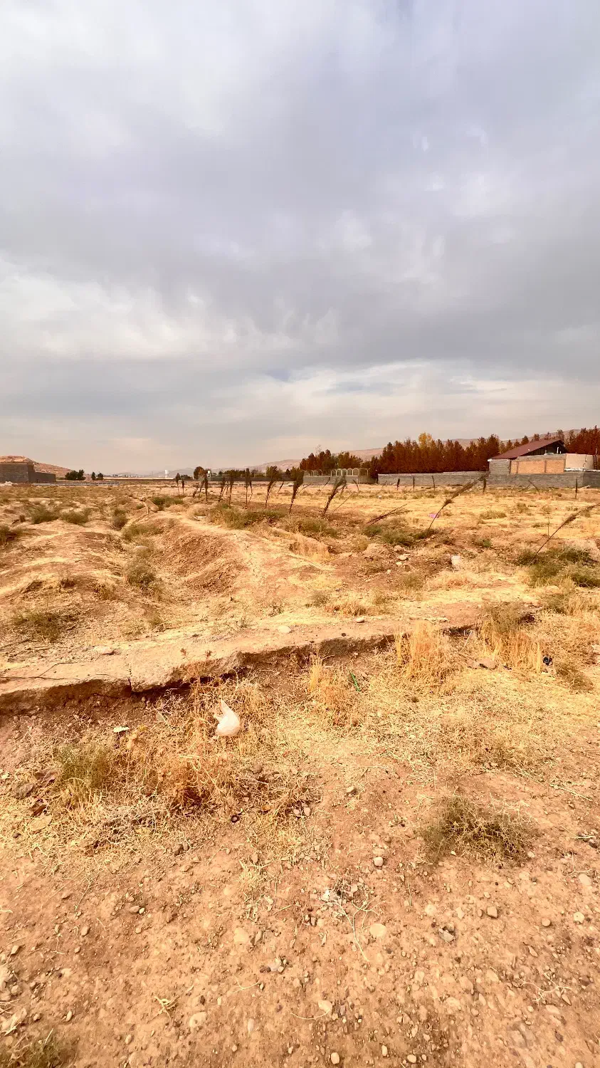 زمین باغ شهری ۵۰۰ متری باغ شهری صدرا|فروش زمین و ملک کلنگی|شیراز, باغشهر قصر سبز|دیوار