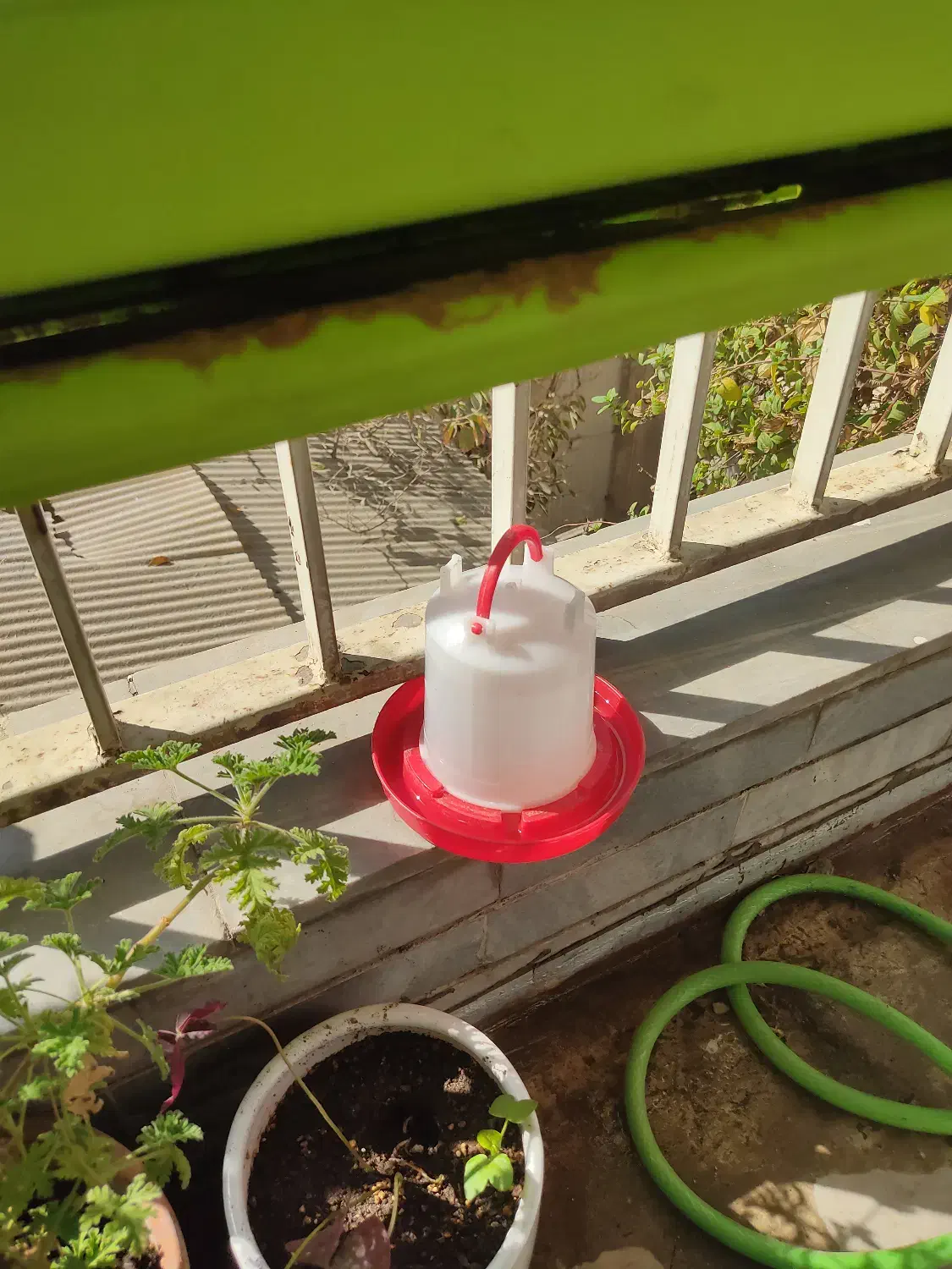 آبخوری و دونخوری بزرگ|حیوانات مزرعه|تهران, پاسداران|دیوار