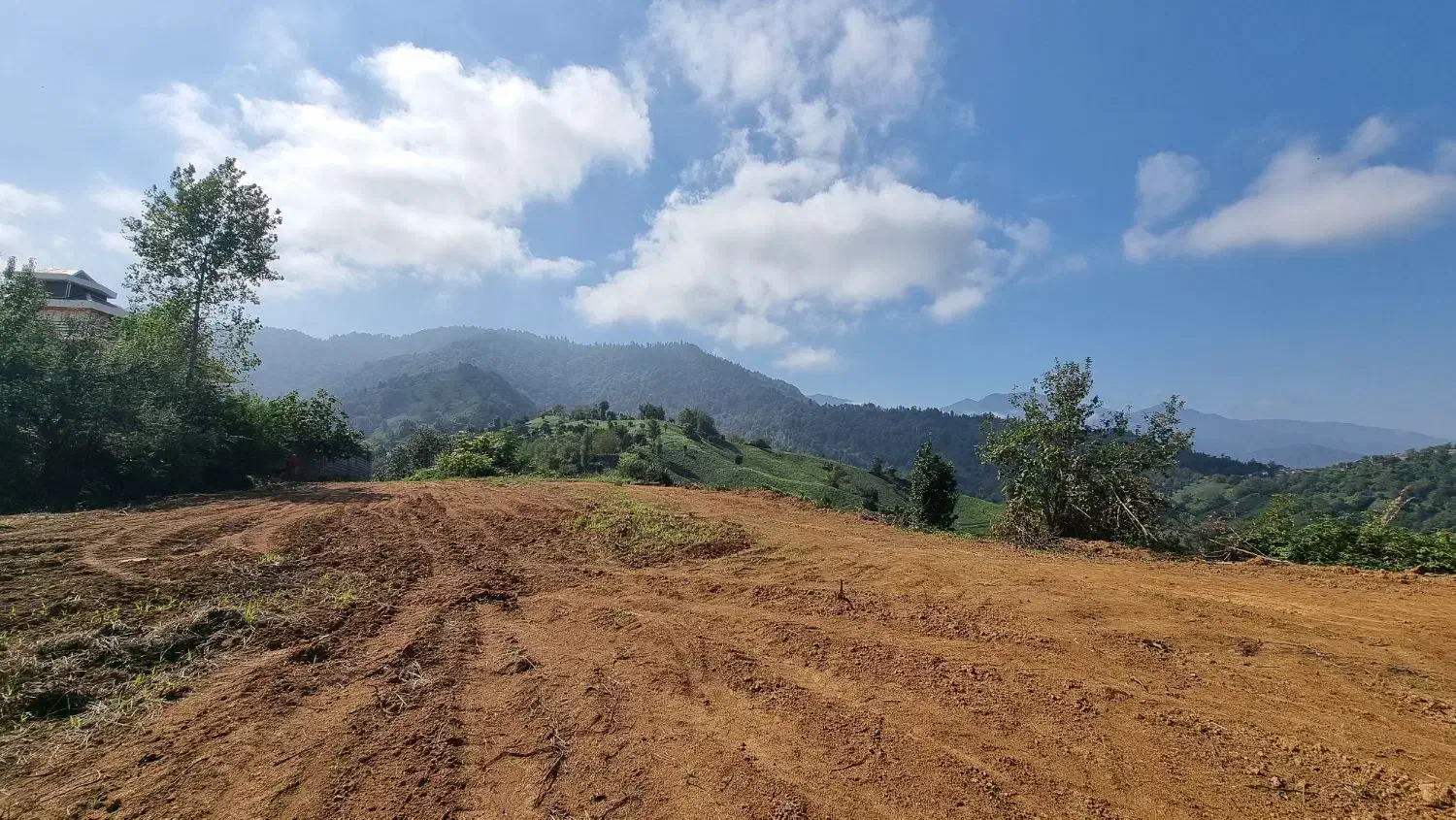 بلندترین نقطه ویو جنگل و دریا و تمام شهرهای با سند|فروش زمین و ملک کلنگی|چابکسر, |دیوار