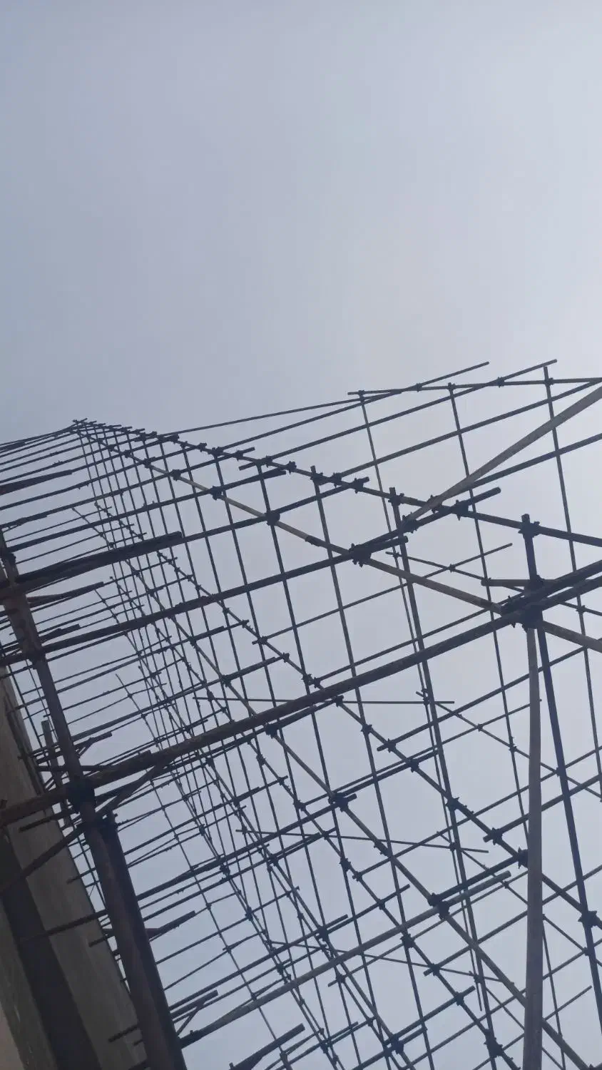 داربست دلفان سرتاسر جزیره|خدمات پیشه و مهارت|درگهان, |دیوار