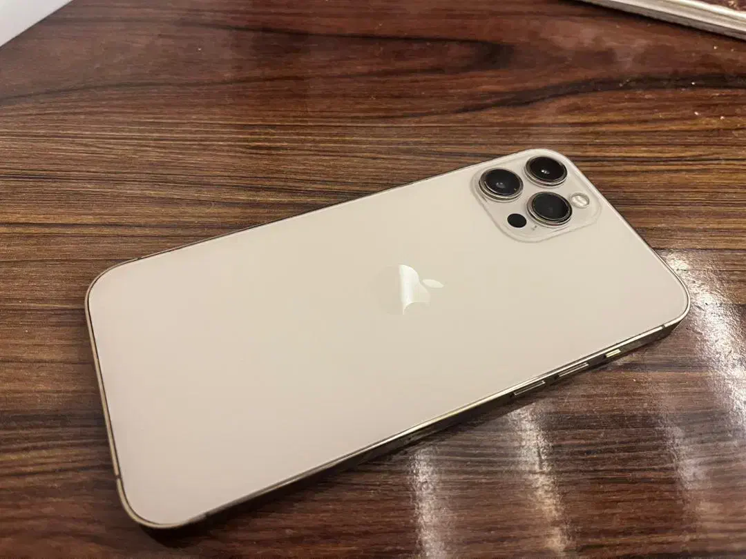 اپل 12 Pro Max ZA|موبایل|مشهد, هنرستان|دیوار
