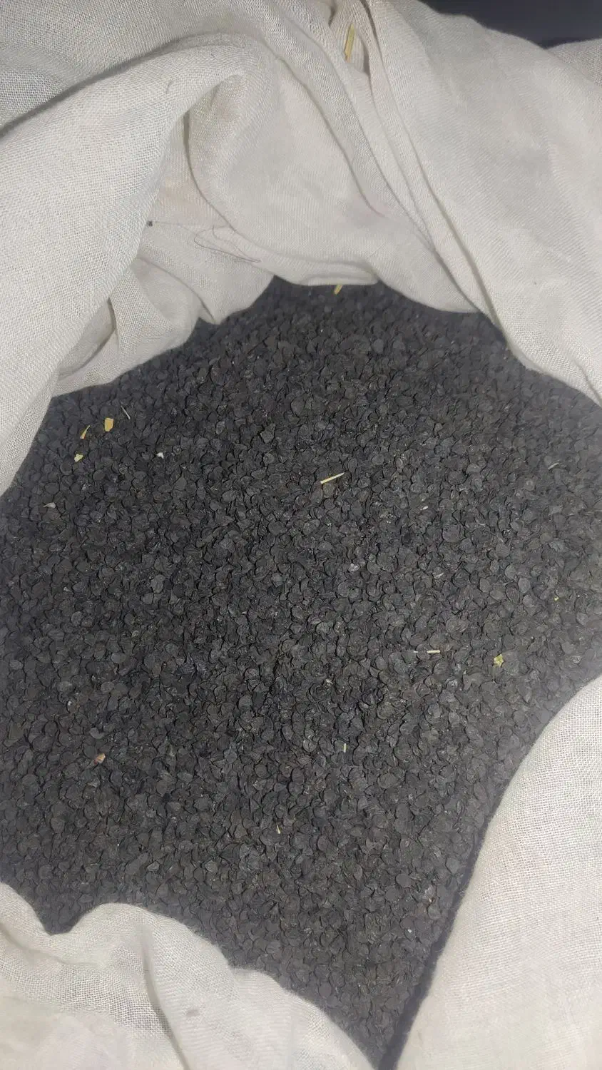 بزر پیاز قرمز درجه یک|گل و گیاه طبیعی|دامن, |دیوار