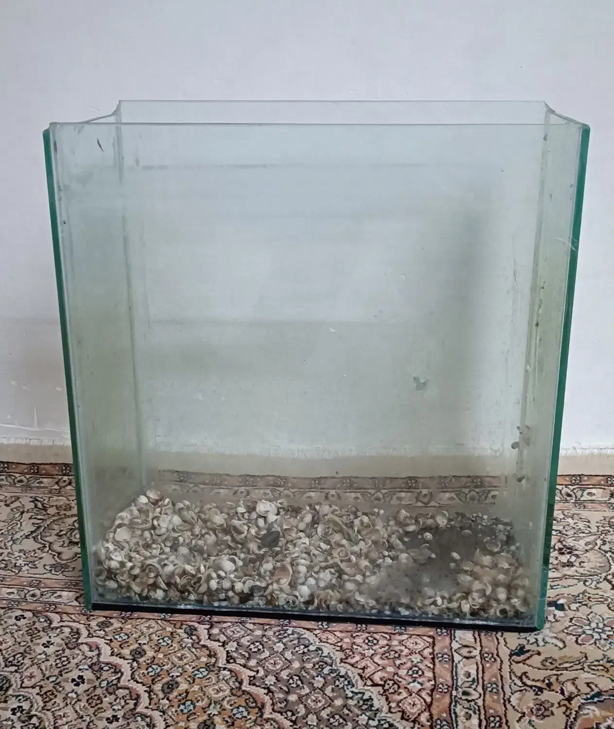 آکواریوم|ماهی|اردبیل, |دیوار