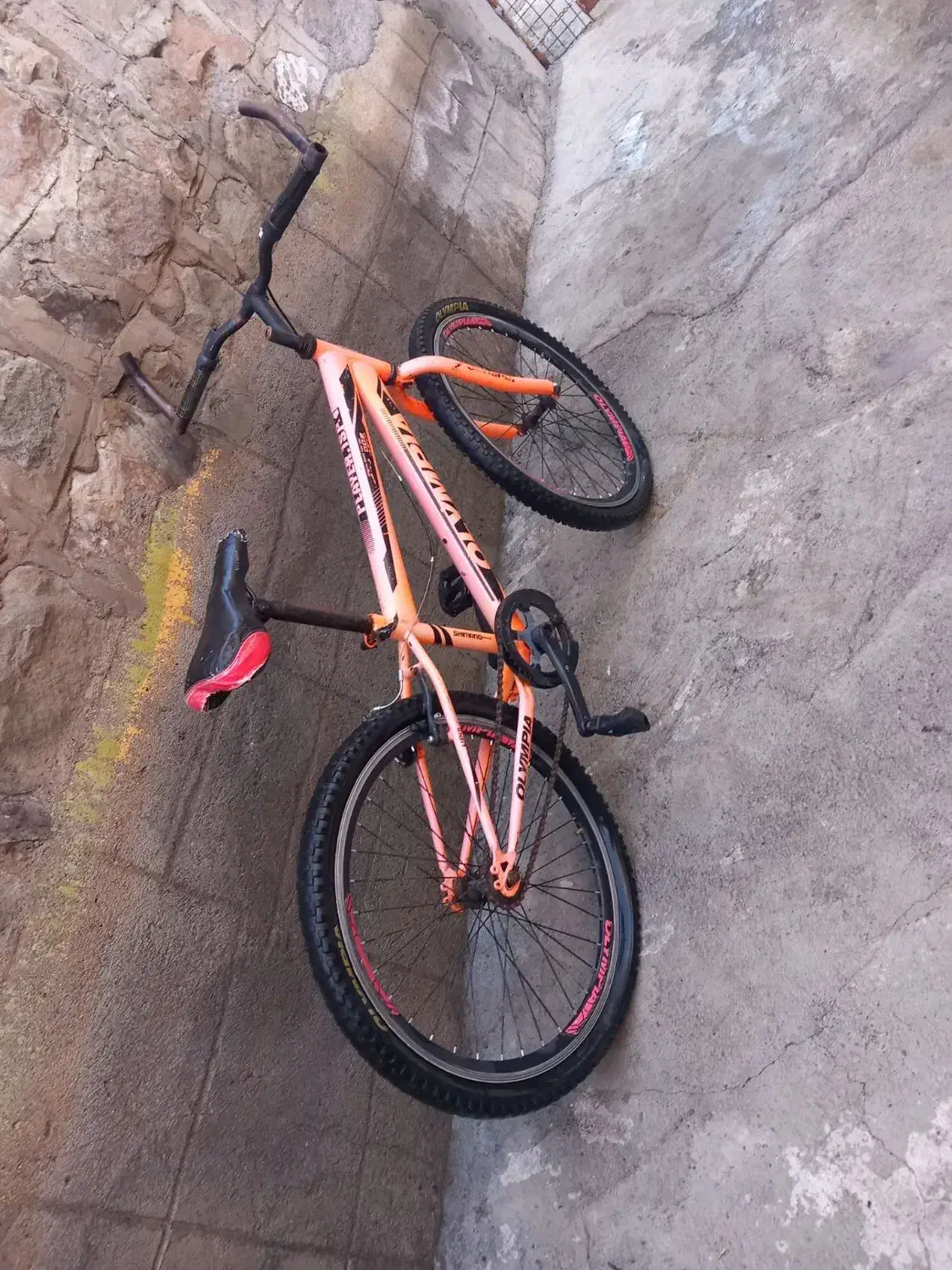 دوچرخه ۲۴|دوچرخه، اسکیت، اسکوتر|انگوت, |دیوار