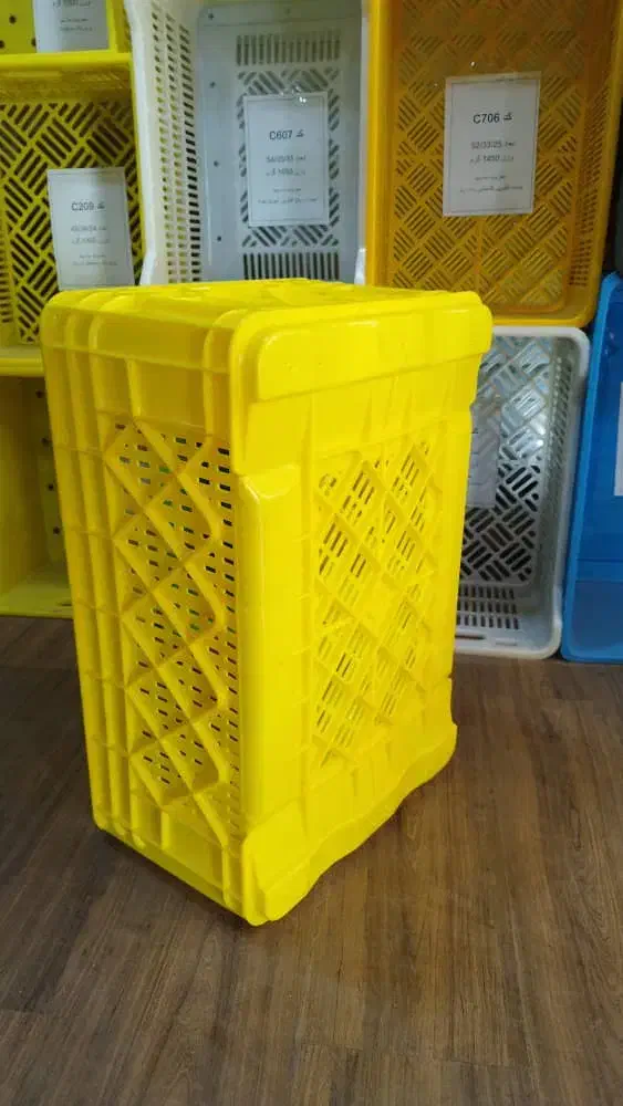 سبد مرغ ۲ کیلویی|عمدهفروشی|پاکدشت, پاکدشت (مامازند)|دیوار