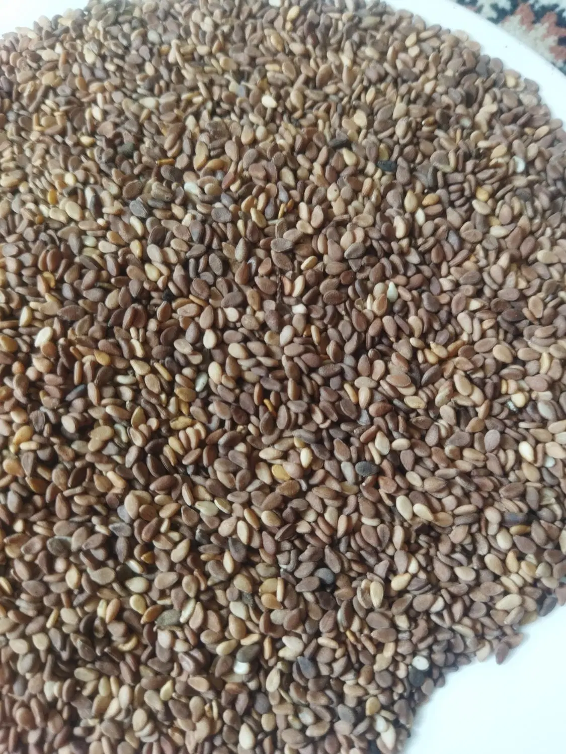 کنجد|خوردنی و آشامیدنی|شیراز, درکی|دیوار