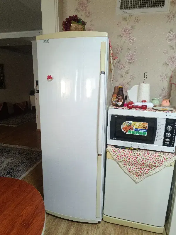 فریزر الکترو استیل|یخچال و فریزر|مشهد, رضاشهر|دیوار