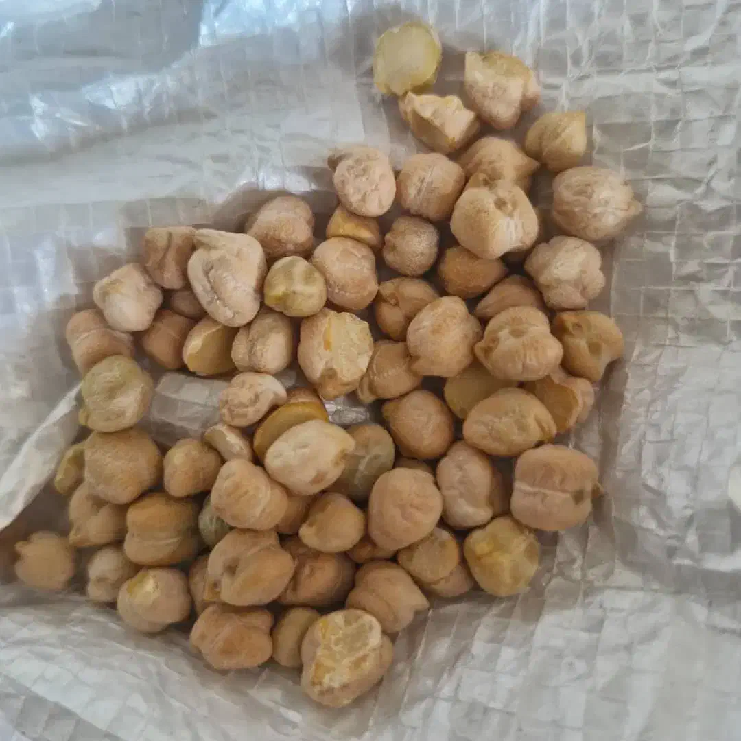 نخود|حراج|آباده, |دیوار