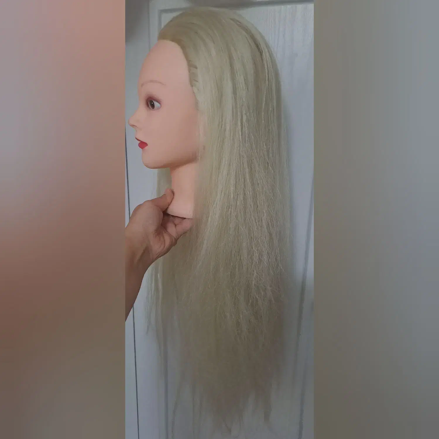 کله مانکن قابل شستشو وحالت دهی|آرایشی، بهداشتی، درمانی|مهدی شهر, |دیوار