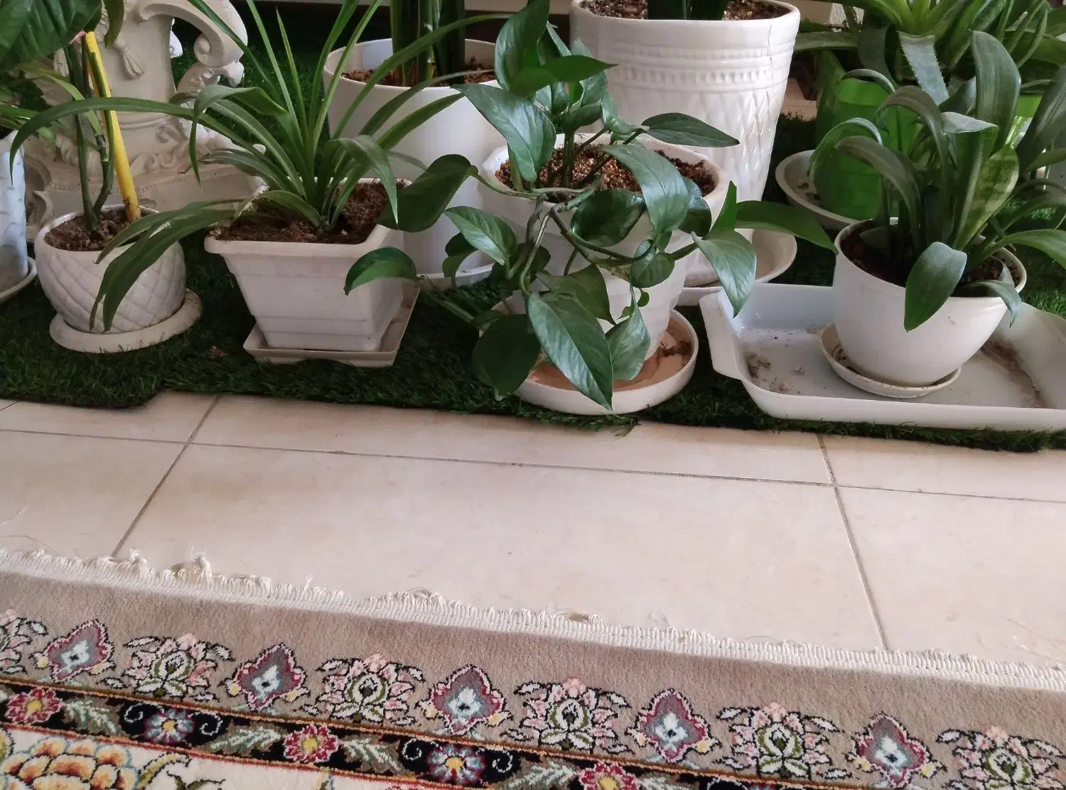 آپارتمانی|گل و گیاه طبیعی|شاهین‌شهر, شهرک میلاد|دیوار