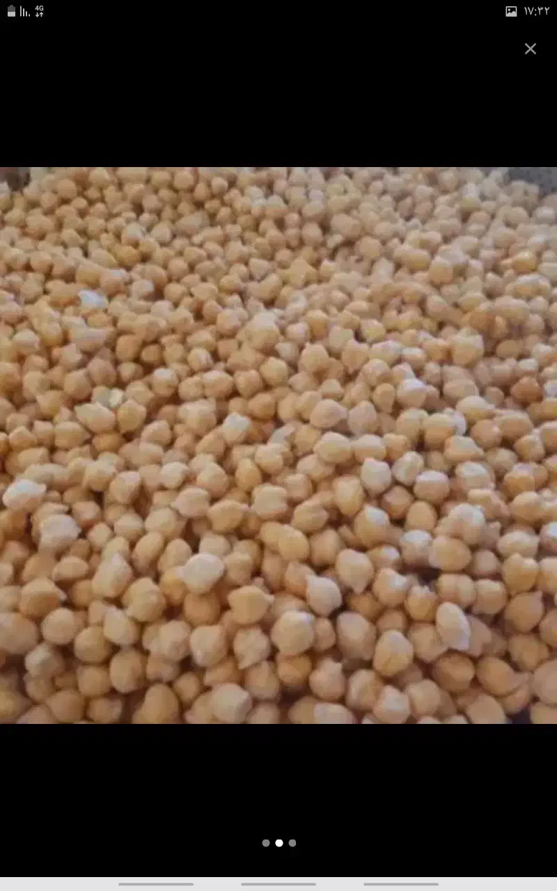 حبوبات درجه یک|خوردنی و آشامیدنی|قم, امامزاده ابراهیم|دیوار