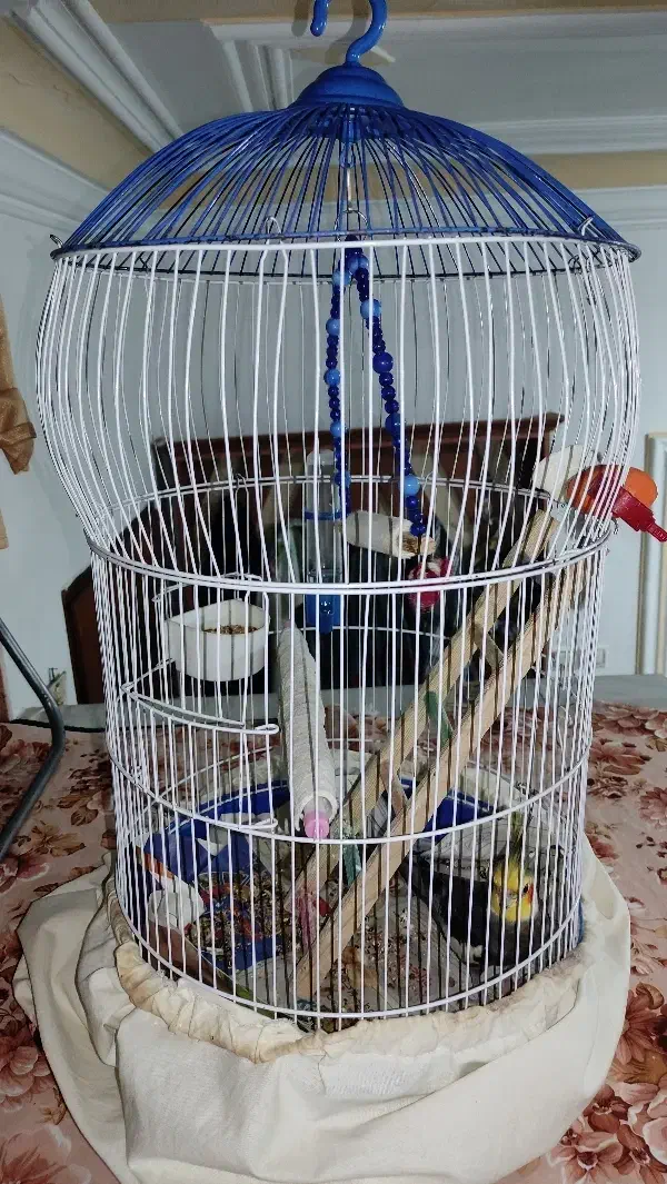 قفس پرنده|لوازم جانبی حیوانات|رشت, باهنر|دیوار