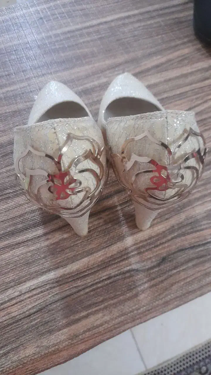 کیف و کفش نو و مجلسی|کیف، کفش، کمربند|سهند, |دیوار