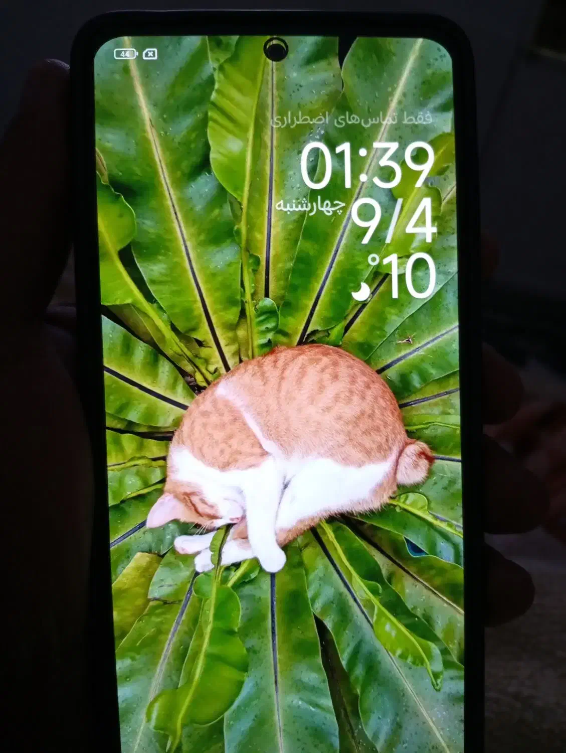 گوشی شیایومی نوت ۱۳ 4G|موبایل|گرگان, |دیوار