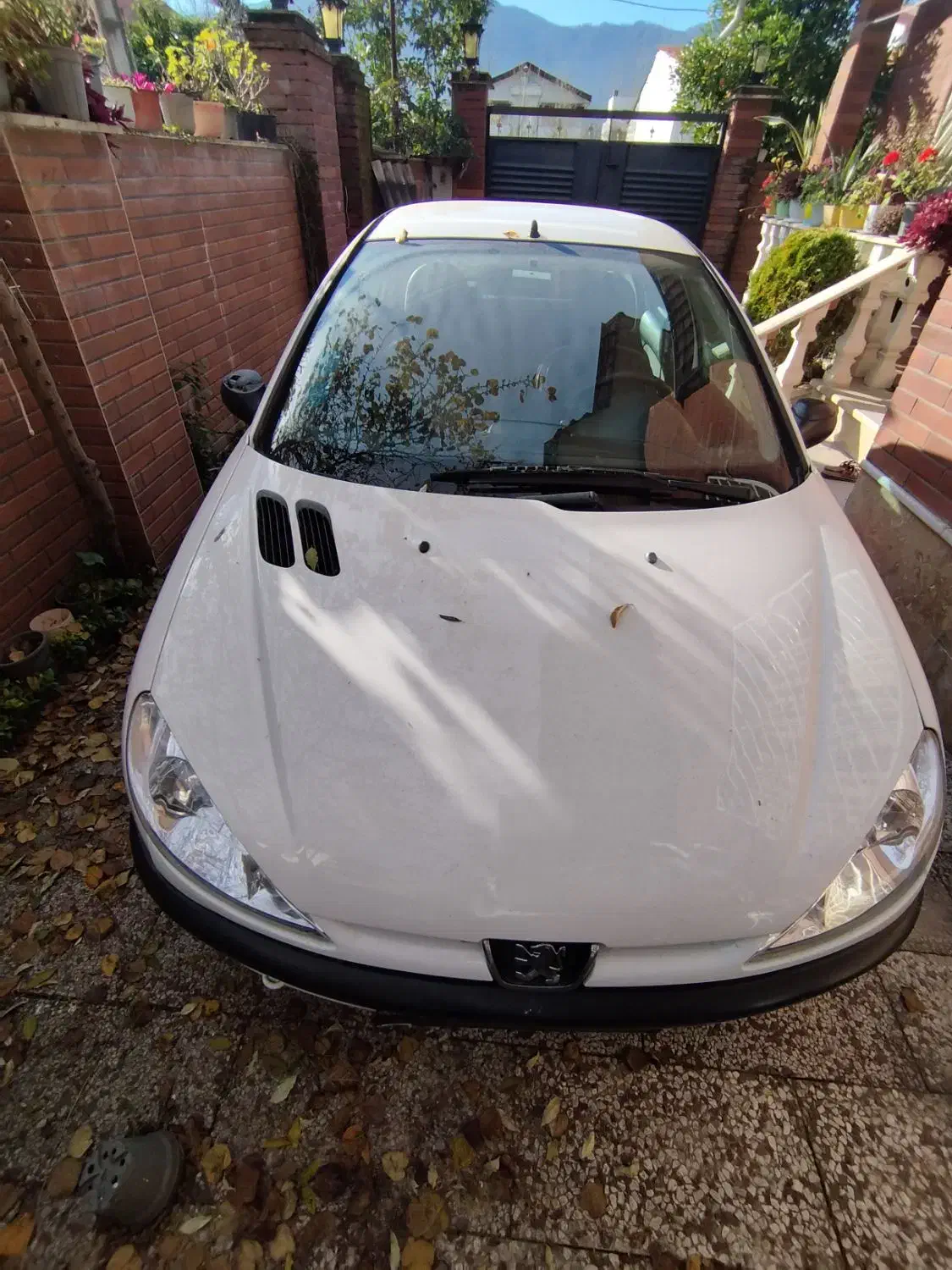 ۲۰۶ مدل ۹۰ سالم|خودرو سواری و وانت|سلمان‌شهر, |دیوار