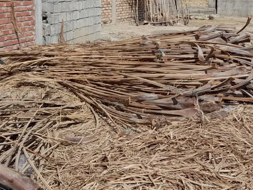 شاک برای کشت خیار|گل و گیاه طبیعی|کهنوج, |دیوار