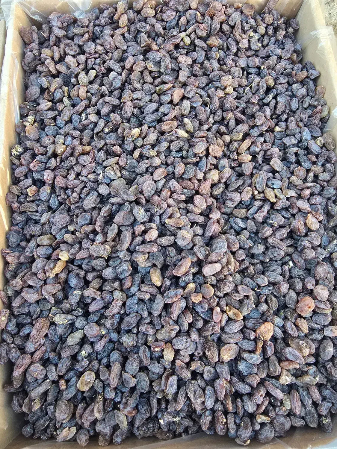 نمایندگی کشمش و مویز شیراز|عمده‌فروشی|تهران, مرزداران|دیوار