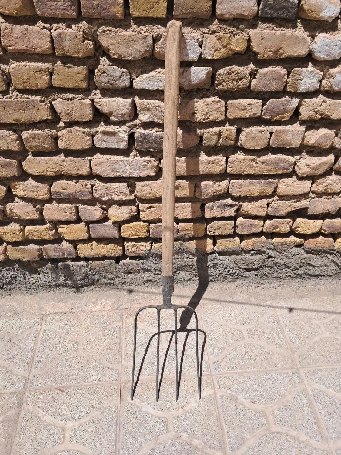 چهار شاخ برای کارهای کشاورزی قیمت ۳۰۰|گل و گیاه طبیعی|تربت جام, معدآباد|دیوار