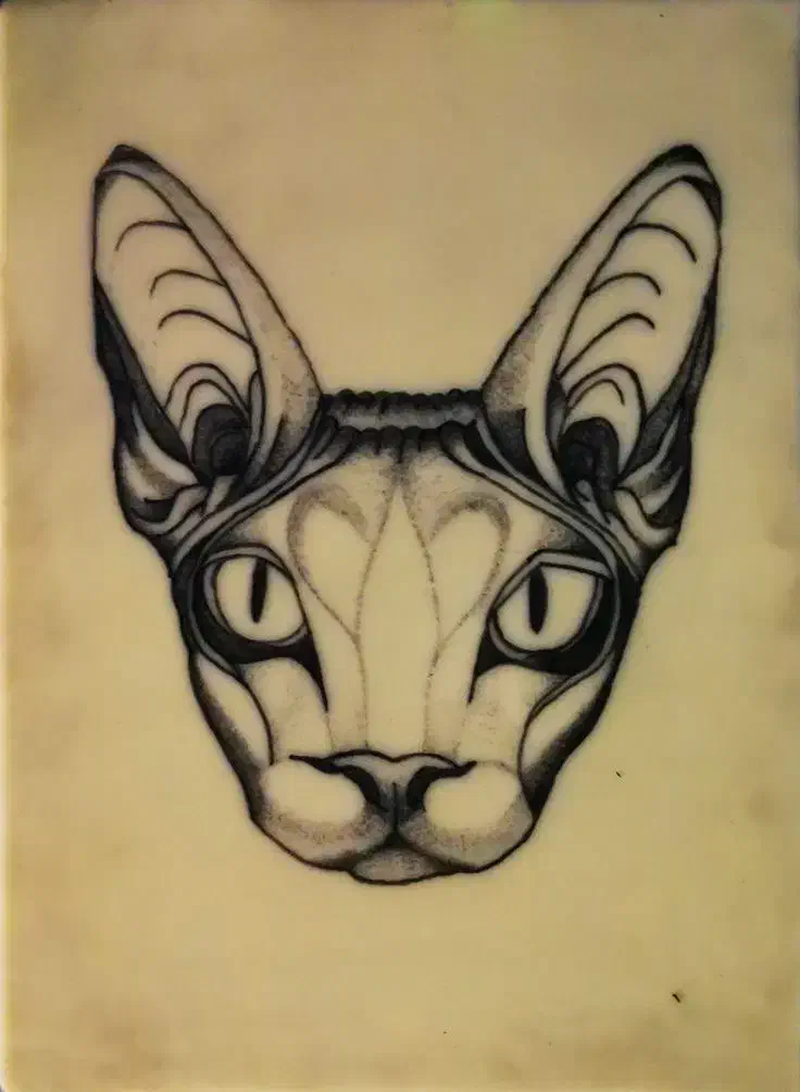 آموزش و اجرای تتو بدن|خدمات آرایشگری و زیبایی|شهریار, شهرک عباس پور|دیوار