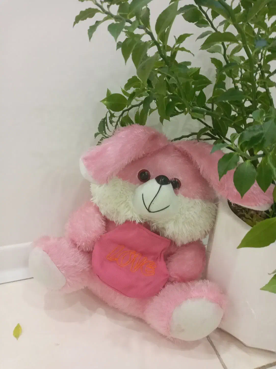 عروسک|اسباب‌بازی بچه|تهران, نظام‌آباد|دیوار