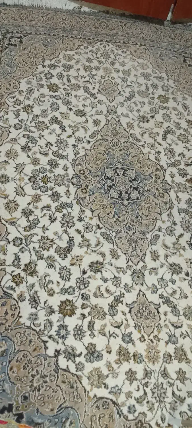 دو فرش ۱۲متری زمینه سبز و یک فرش ۶متری کرم|فرش|نشتارود, |دیوار