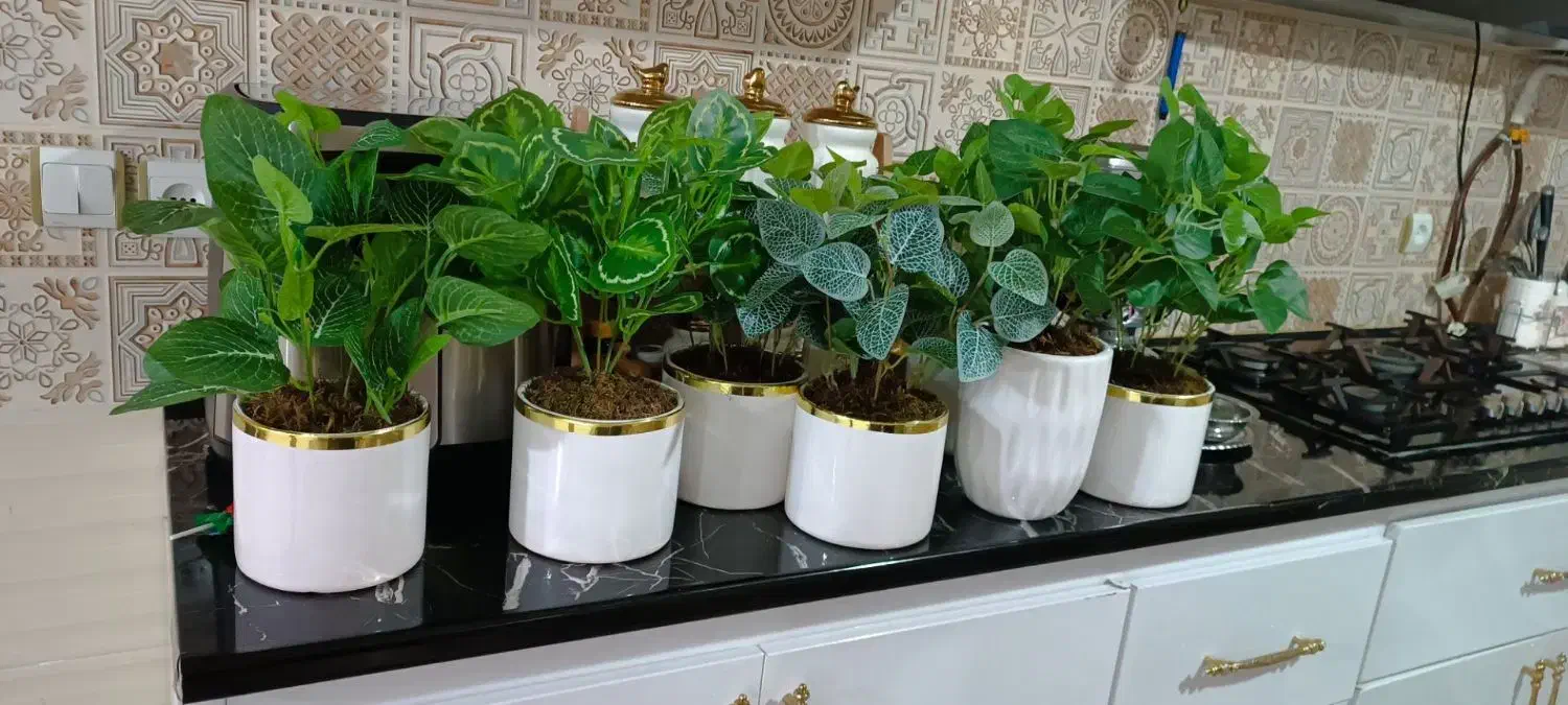 گل مصنوعی|گل مصنوعی|سرپل ذهاب, |دیوار