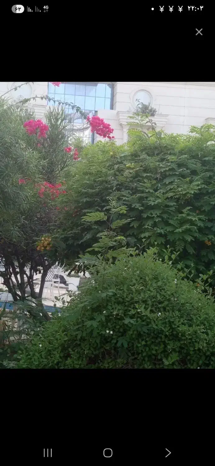 انجام کلیه کارهای خدماتی و نظافتی|خدمات نظافت|کیش, |دیوار