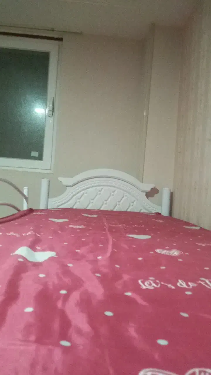 تخت دوطبقه|تخت و سرویس خواب|شهرضا, |دیوار