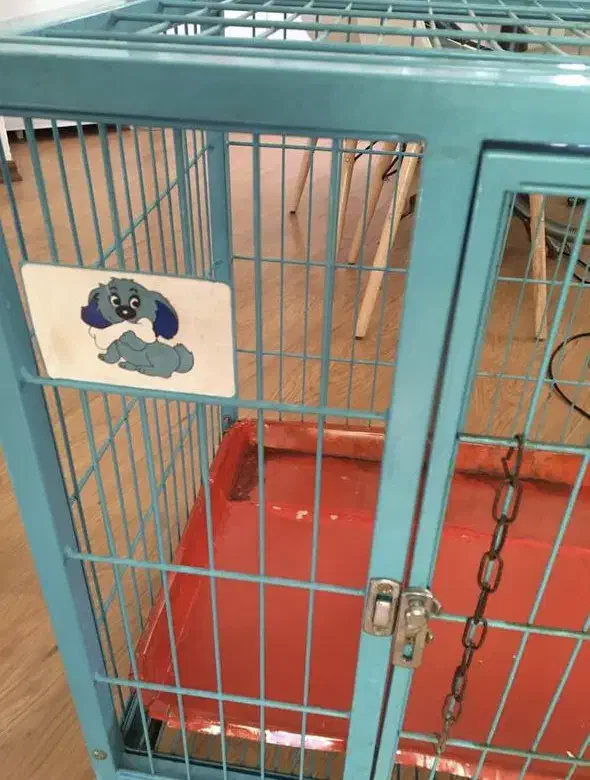 قفس آهنی|لوازم جانبی حیوانات|رشت, گلسار|دیوار