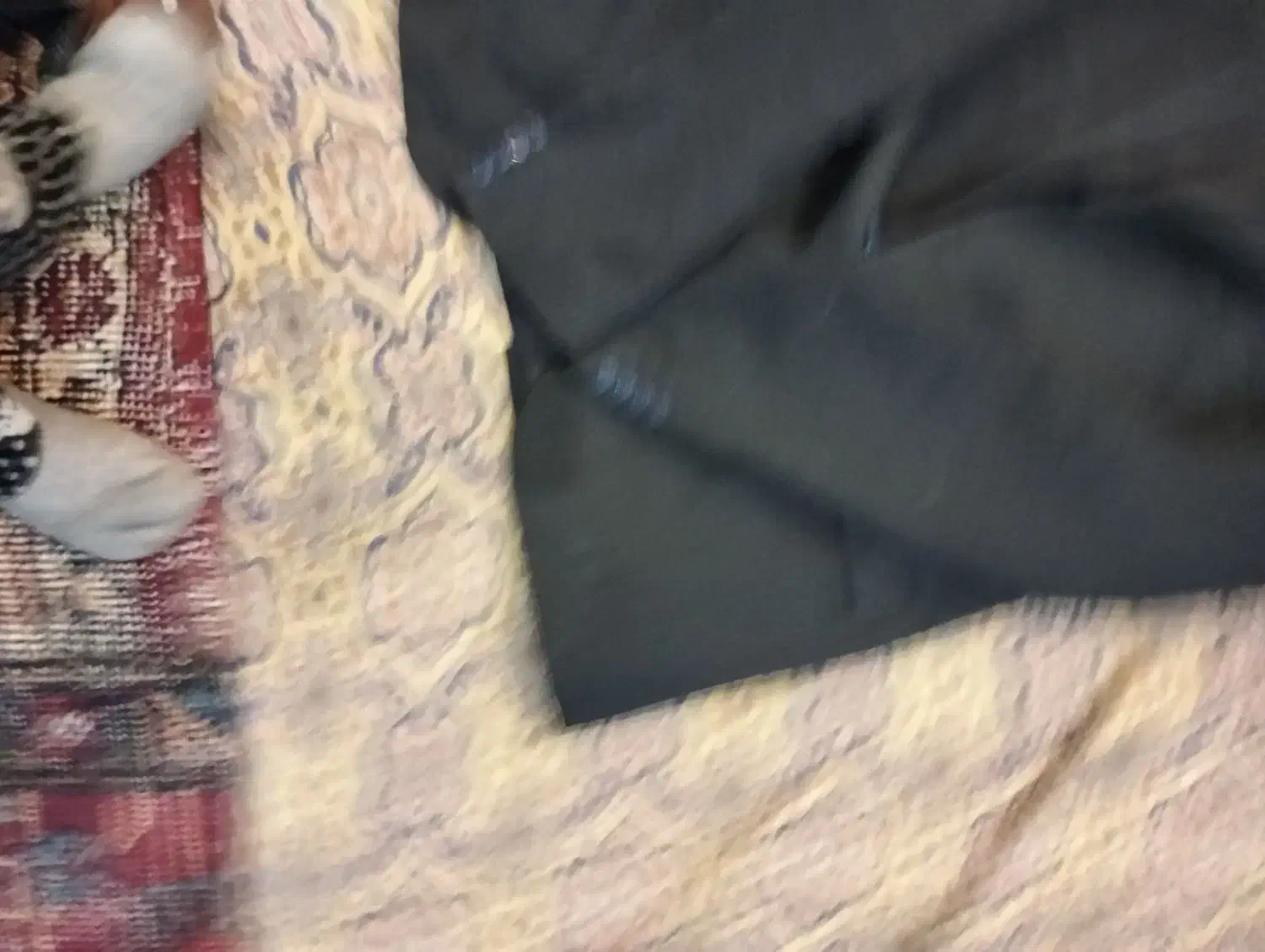 لباس دست دوم مردونه|لباس|تهران, شهرک آزمایش|دیوار