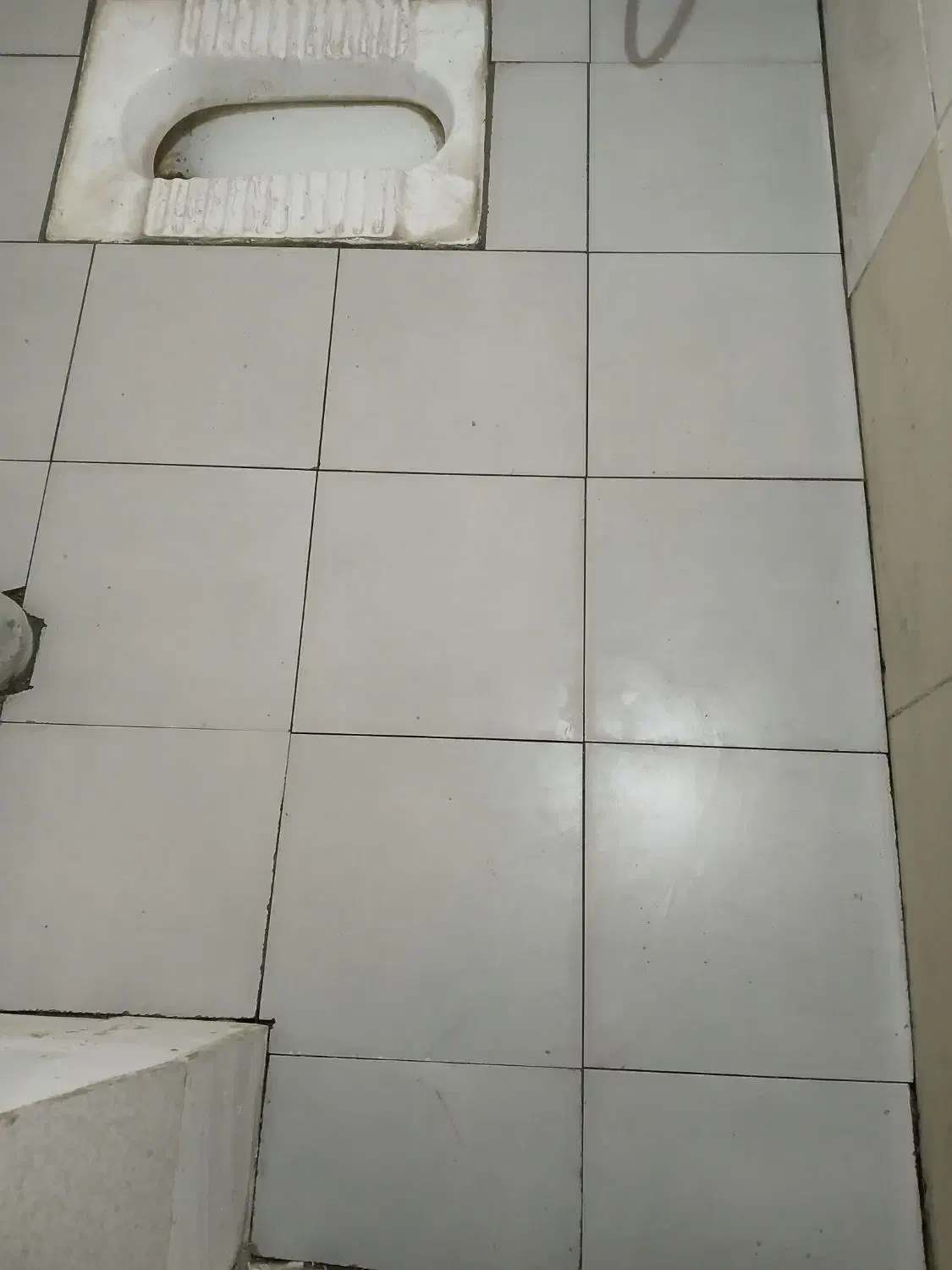 کاشی سیمان|خدمات پیشه و مهارت|گنبد کاووس, |دیوار