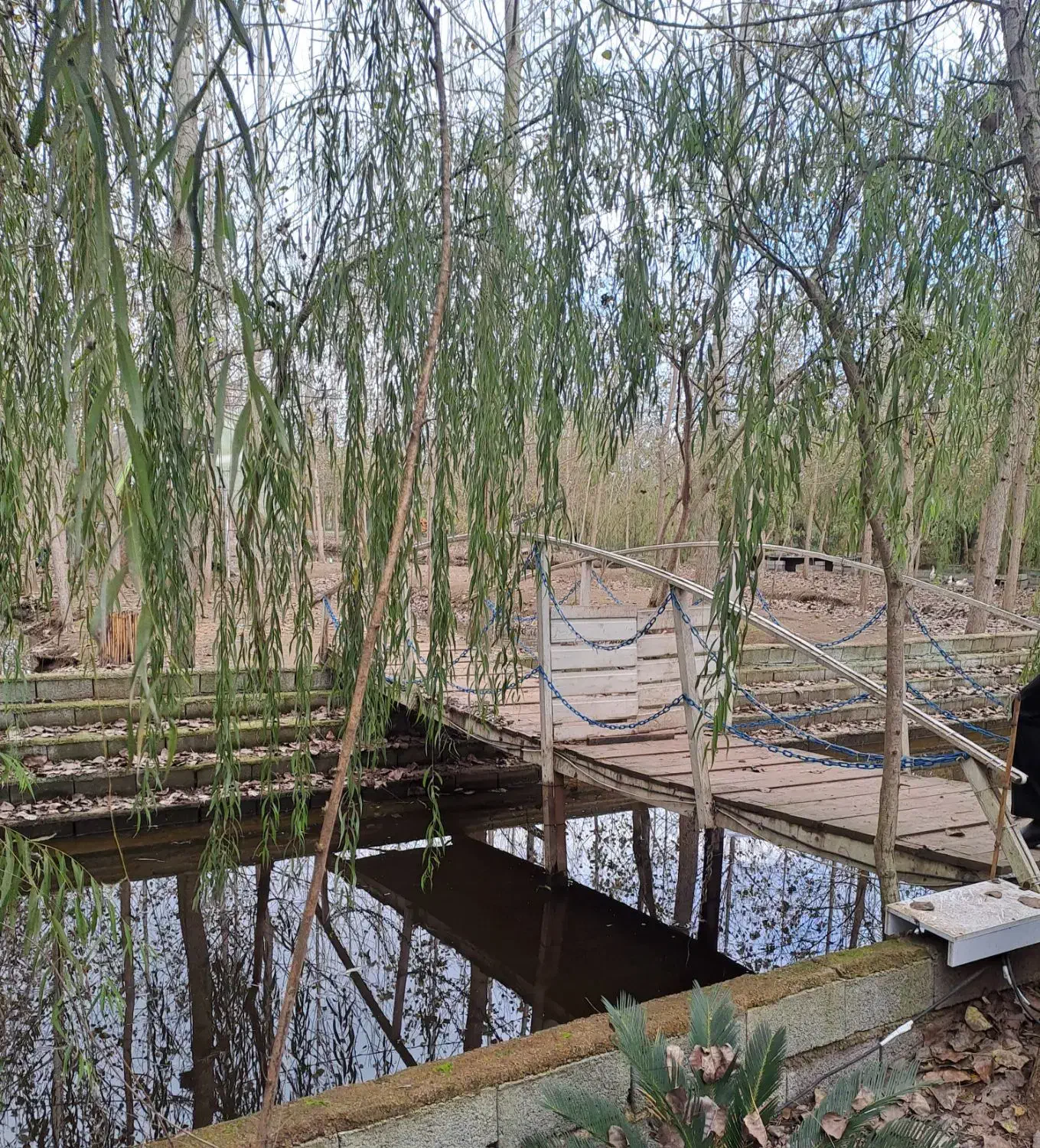 یک تصمیم، هزارلحظه آرام|فروش خانه و ویلا|مشهد, ولیعصر (شهرک غرب)|دیوار