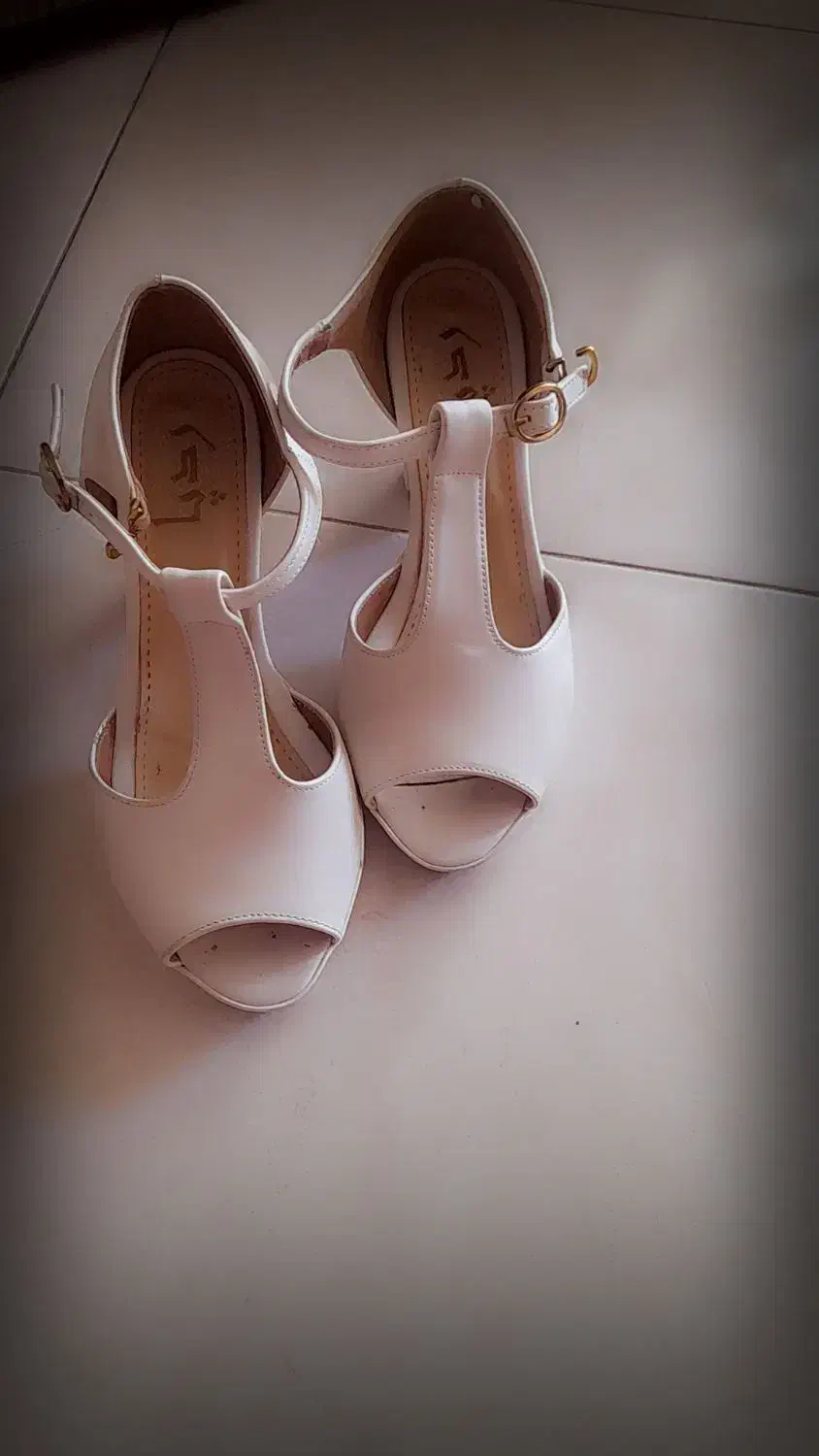 کفش مجلسی|کیف، کفش، کمربند|مشهد, رضاشهر|دیوار