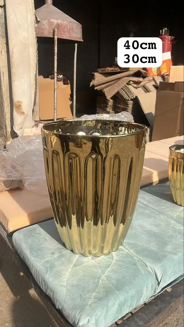 گلدان|گل و گیاه طبیعی|پاکدشت, پاکدشت (مامازند)|دیوار