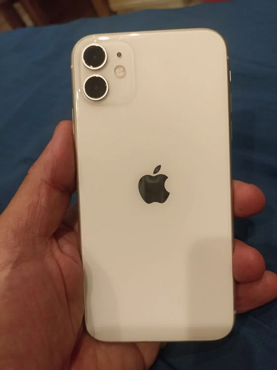 آیفون11|موبایل|کاشان, کشاورز|دیوار