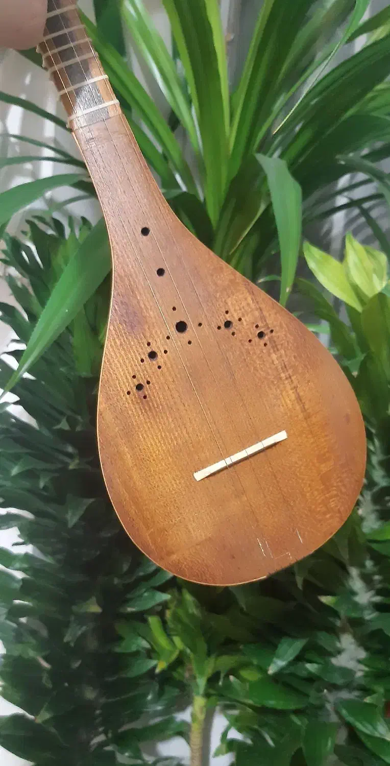 سه تار|سازهای سنتی|کرمانشاه, |دیوار