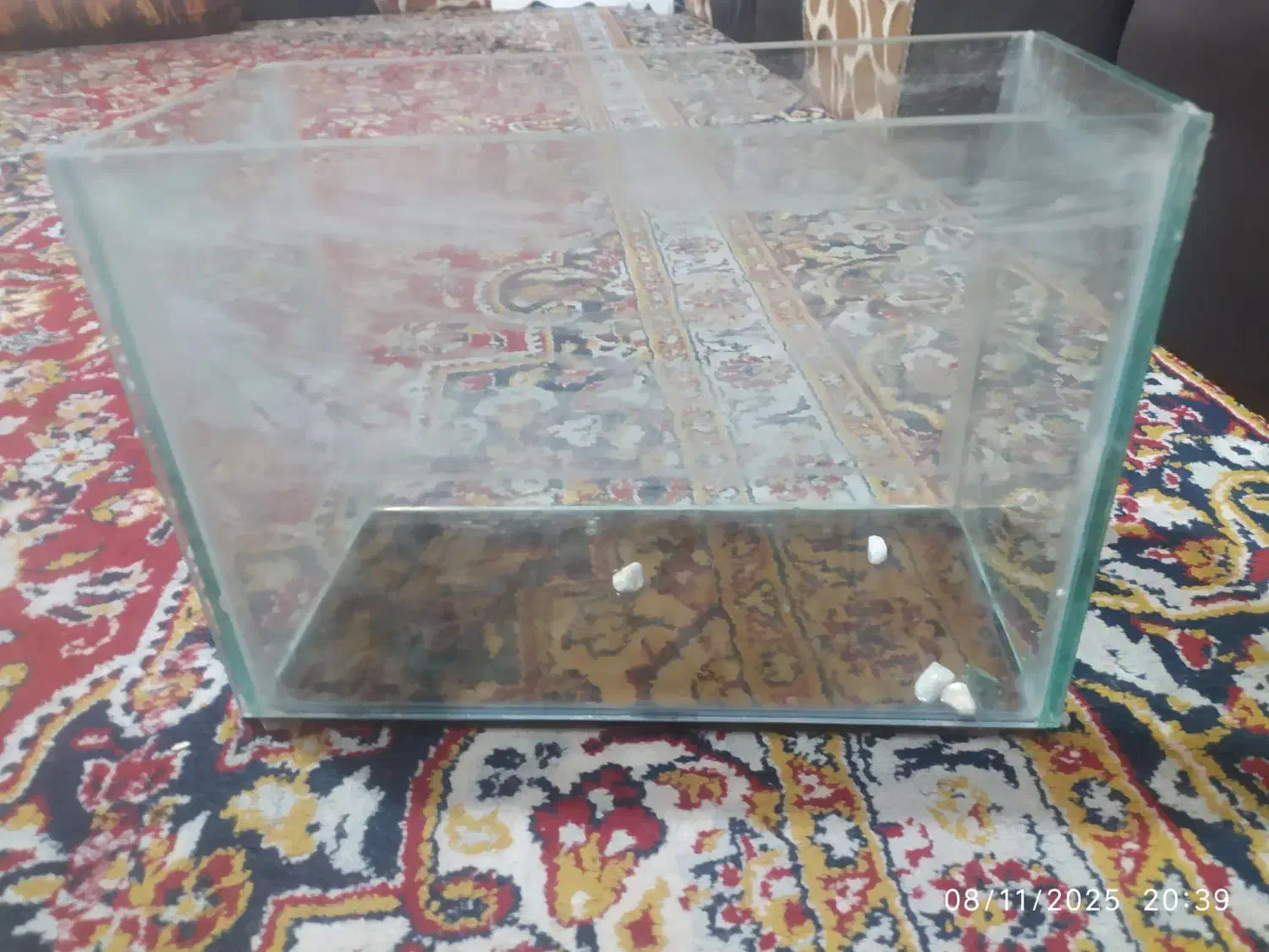 اکواریوم|ماهی|شیراز, کرونی(خاتونک)|دیوار