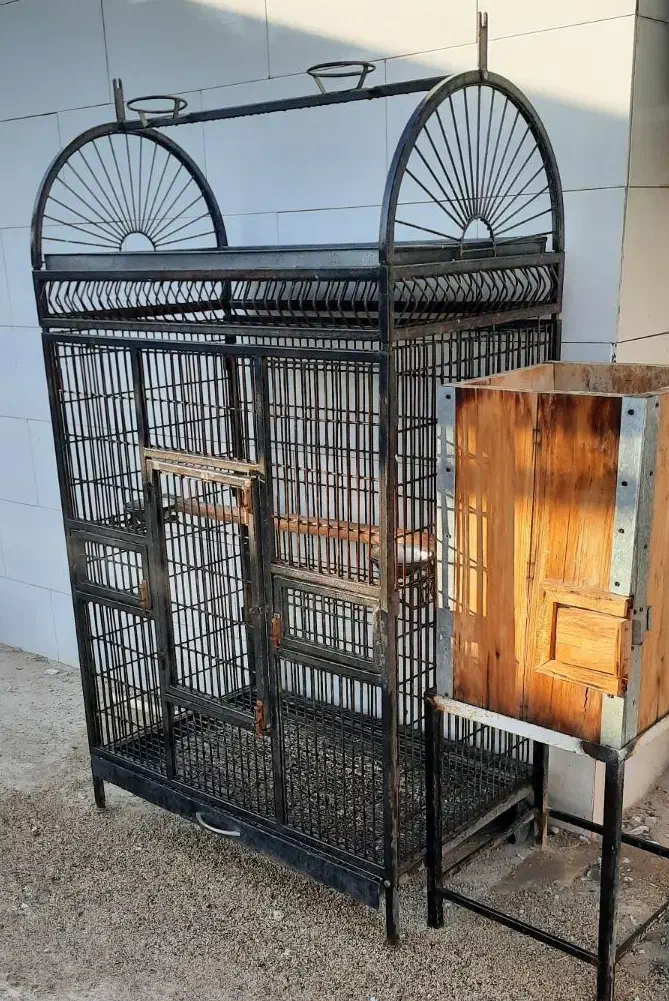 قفس و لانه مکانیزه طوطی سانان|لوازم جانبی حیوانات|داراب, |دیوار