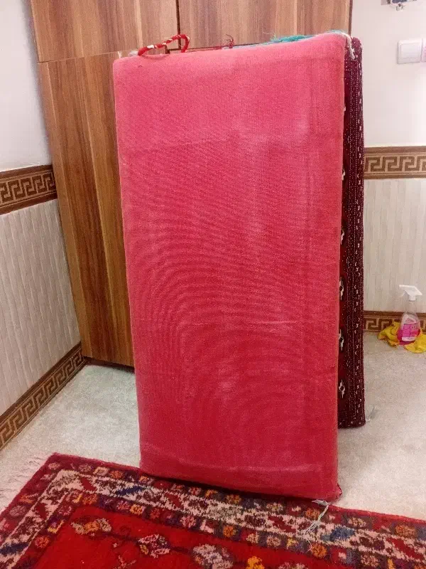 یک جفت پشتی|پشتی|گرگان, |دیوار