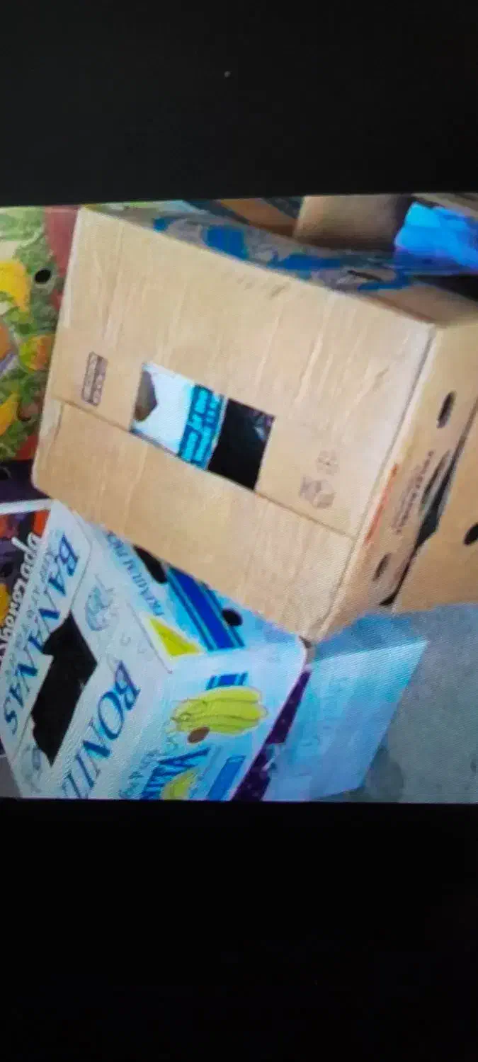 کارتن موزی|ابزارآلات|تهران, چهارصد دستگاه|دیوار