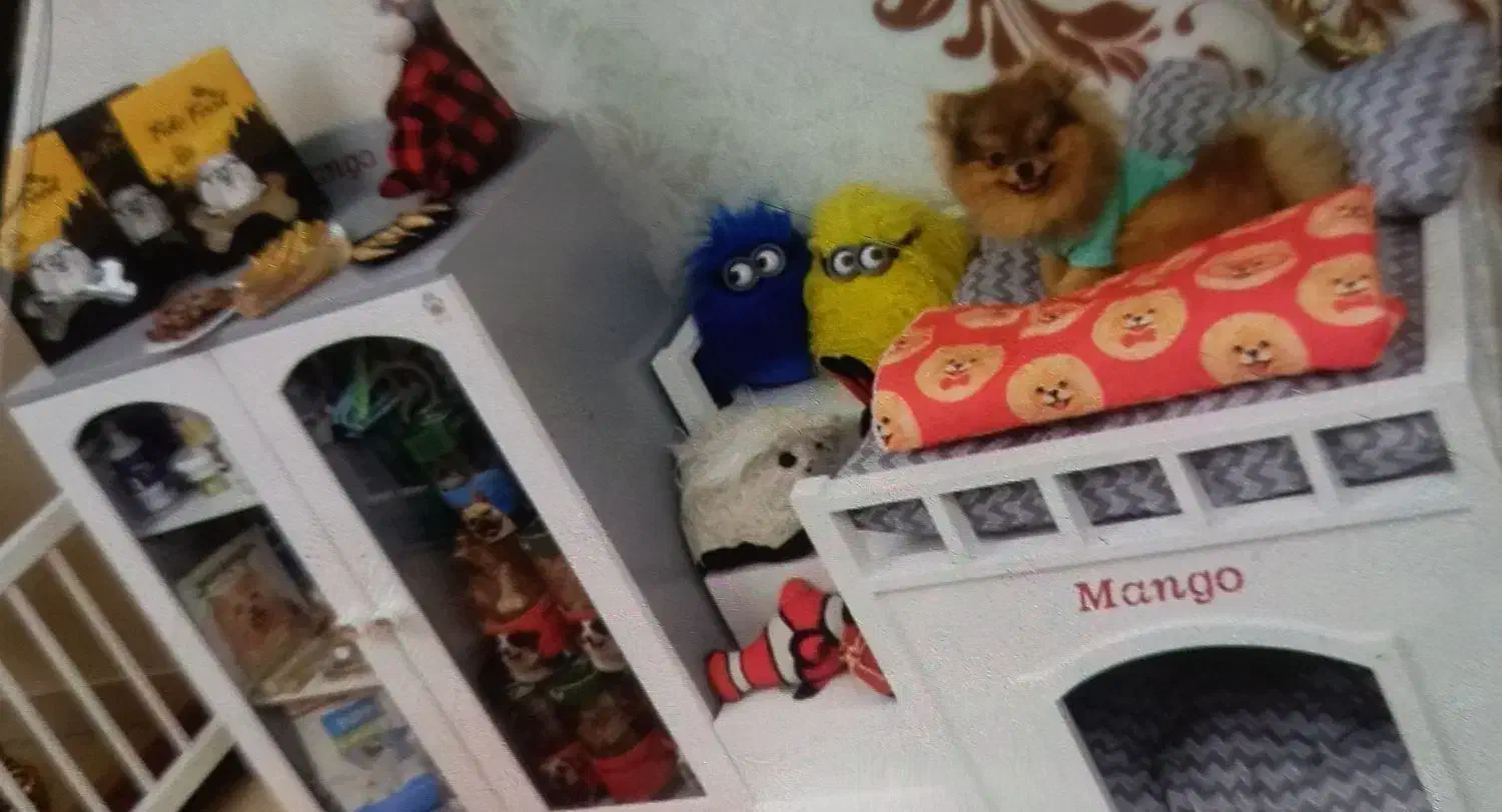 خونه و پارک چوبی پت|لوازم جانبی حیوانات|تهران, قزل قلعه|دیوار