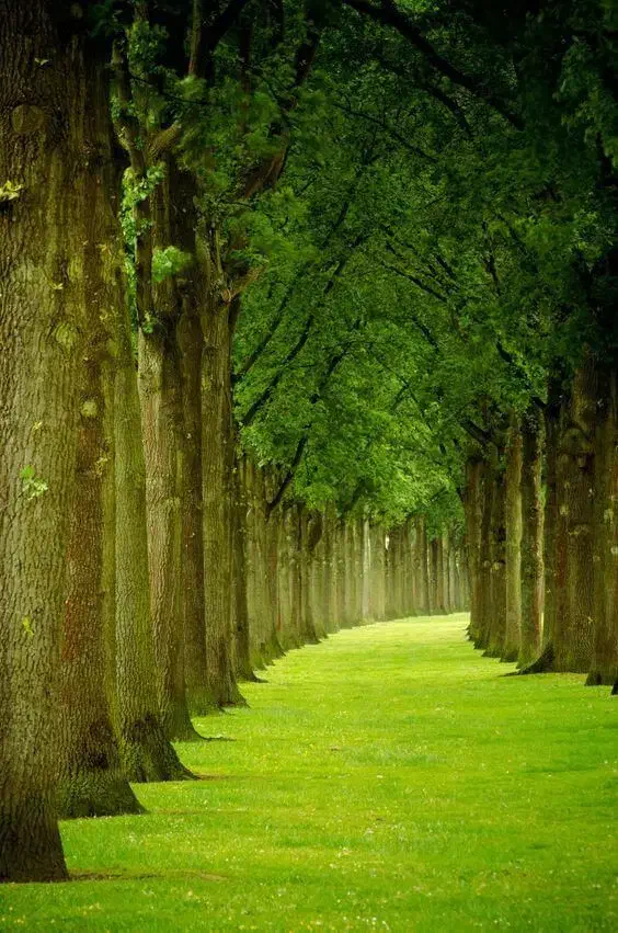کارت ملی گم کردم|اشیا|سنندج, |دیوار